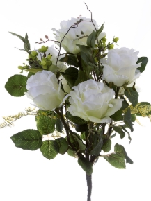 Picture for category Bush