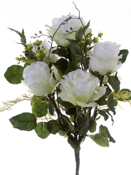 Picture for category Bush