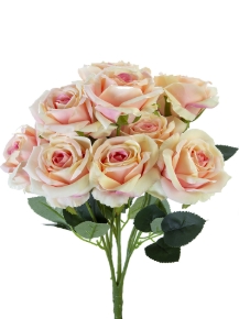 Picture for category Flower Bush