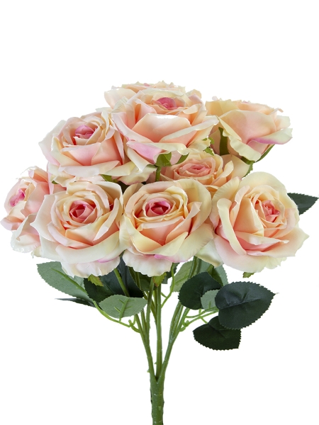 Picture for category Flower Bush