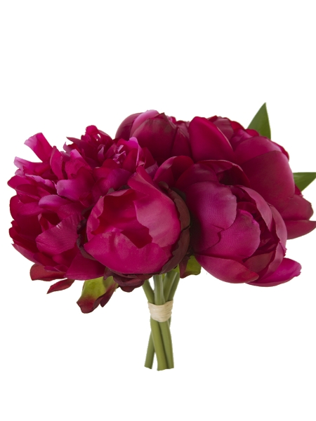 Picture for category Peony