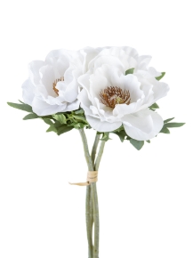 Picture for category Poppy