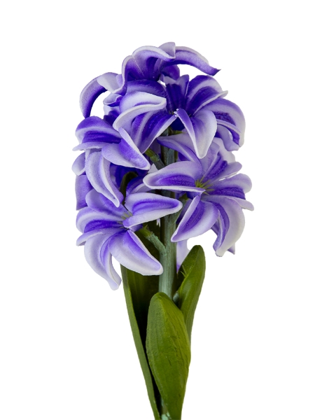 Picture for category Spring
