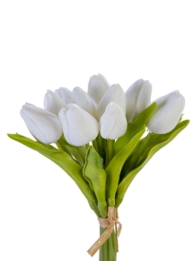 Picture for category Tulip