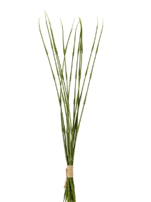 Picture for category Bamboo