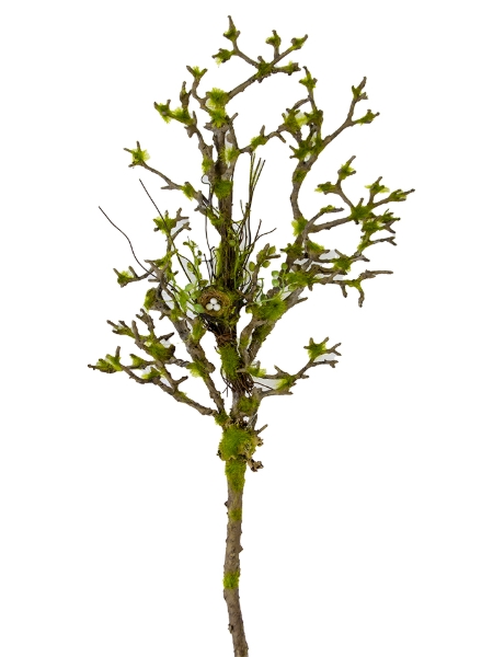 Picture for category Branches