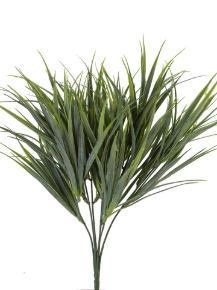 Picture for category Grass