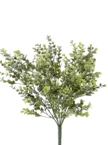 Picture for category Bush