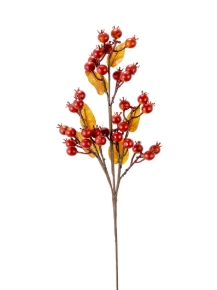 Picture for category BERRIES