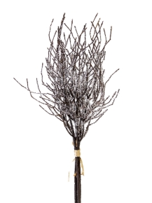 Picture for category Branches