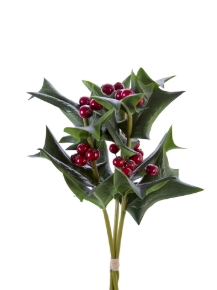 Picture for category Foliage