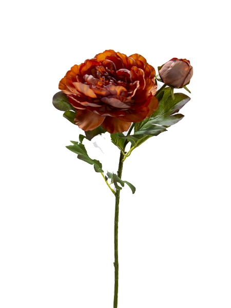 Picture of 27" PEONY SPRAY
