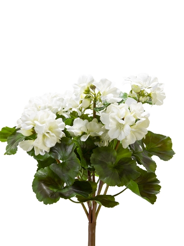 Picture of 17" UV PROTECTED GERANIUM BUSH