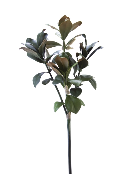 Picture of 32" MAGNOLIA LEAF SPRAY
