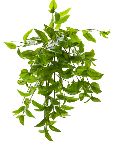 Picture of 30" UV PROTECTED PENDULA BUSH