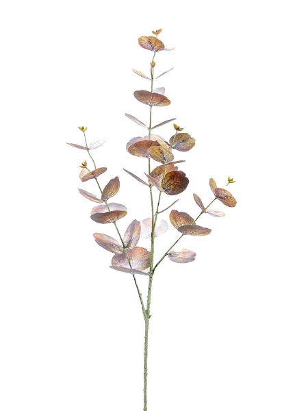 Picture of 35" EUCALYPTUS SPRAY