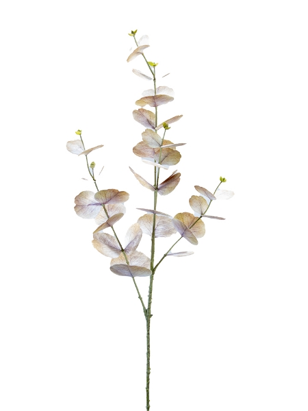 Picture of 35" EUCALYPTUS SPRAY