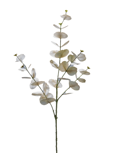 Picture of 35" EUCALYPTUS SPRAY