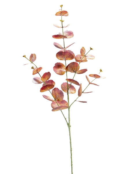 Picture of 35" EUCALYPTUS SPRAY