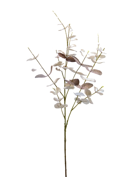 Picture of 38" EUCALYPTUS SPRAY
