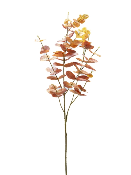 Picture of 38" EUCALYPTUS SPRAY