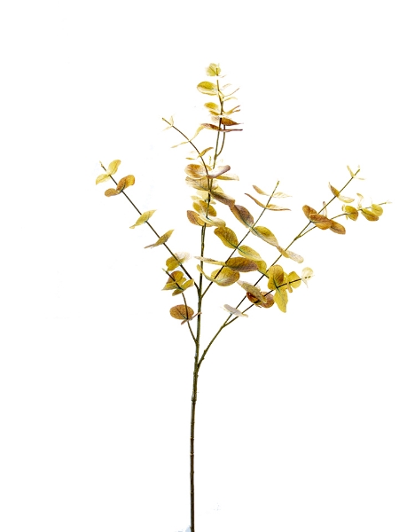Picture of 38" EUCALYPTUS SPRAY