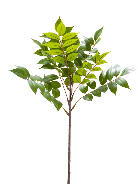 Picture of 29" LAUREL LEAF SPRAY