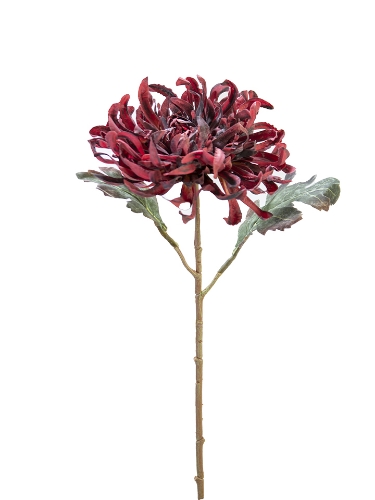 Picture of 21" CHRYSANTHEMUM STEM