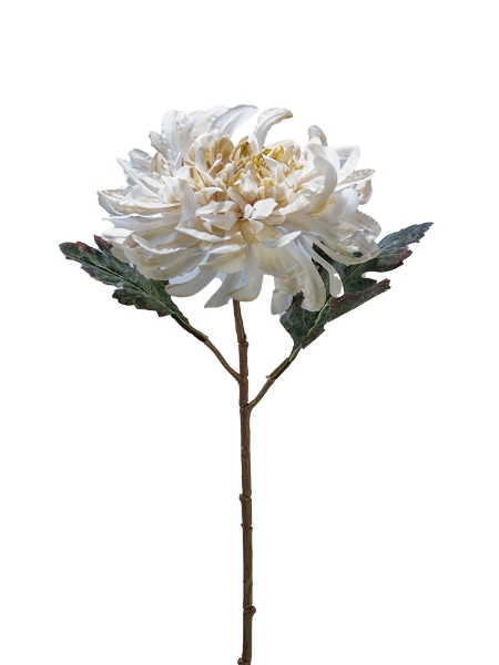Picture of 21" CHRYSANTHEMUM STEM