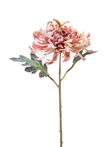 Picture of 21" CHRYSANTHEMUM STEM