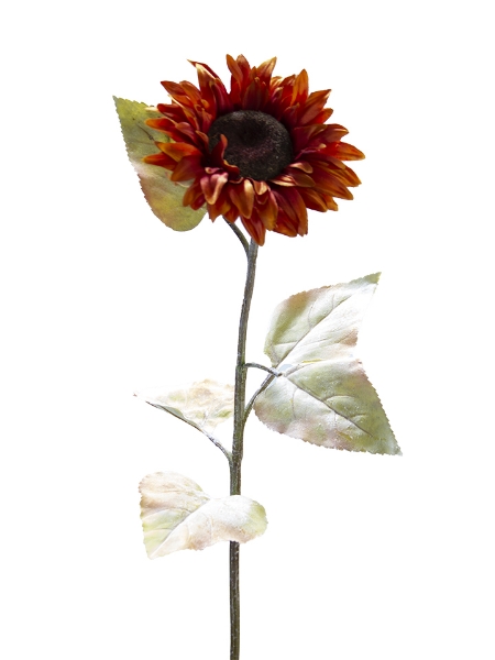 Picture of 30" SUNFLOWER STEM
