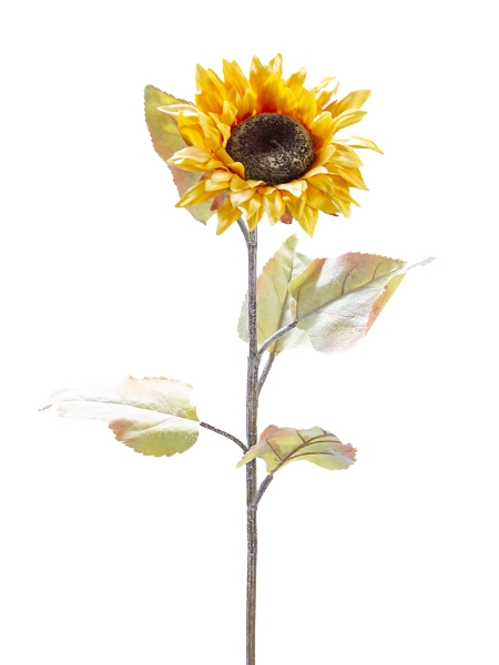 Picture of 30" SUNFLOWER STEM