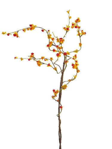 Picture of 41" BITTER SWEET BRANCH