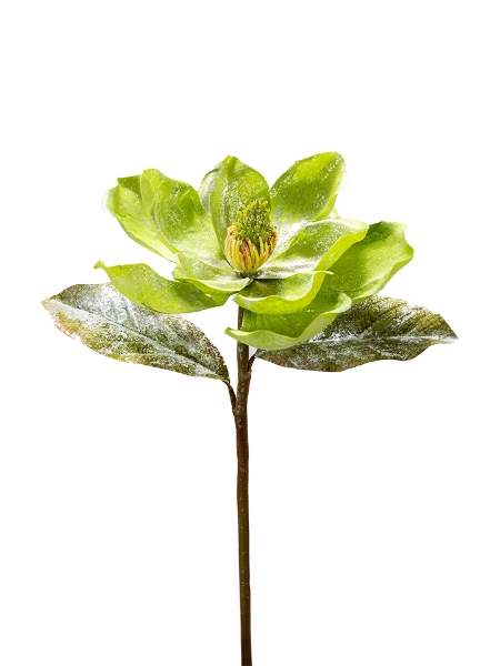 Picture of 22" GLITTERED MAGNOLIA SPRAY