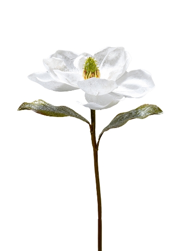 Picture of 22" GLITTERED MAGNOLIA SPRAY