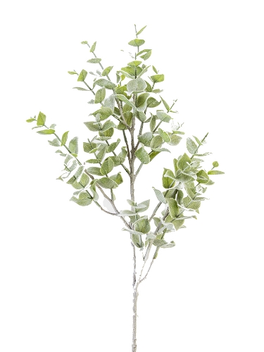 Picture of 27" SNOWY EUCALYPTUS SPRAY