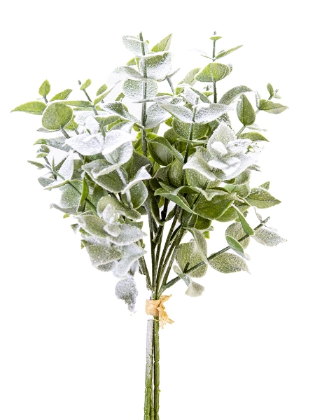 Picture of 17" SNOWY EUCALYPTUS BUNDLE