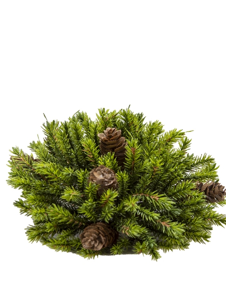 Picture of 9" PINE PINECONE HALF SPHERE