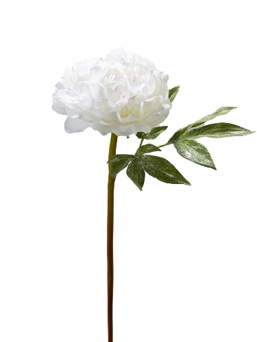 Picture of 22" GLITTERED PEONY SPRAY