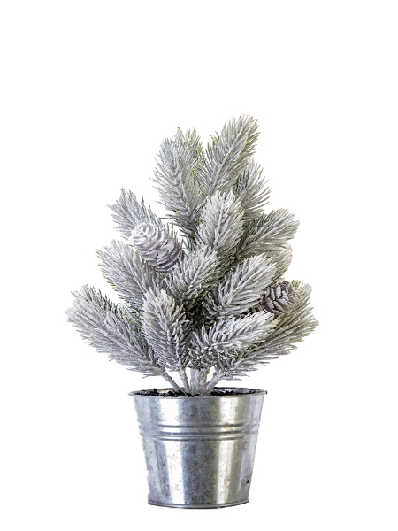 Picture of 13" FLOCKED PINE POTTED TREE