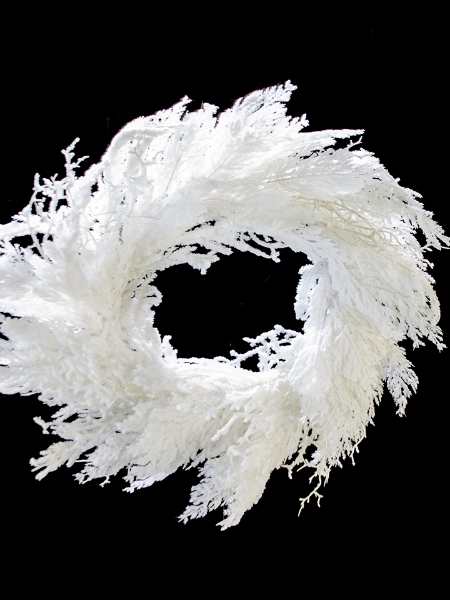 Picture of 28" SNOWY CEDAR WREATH