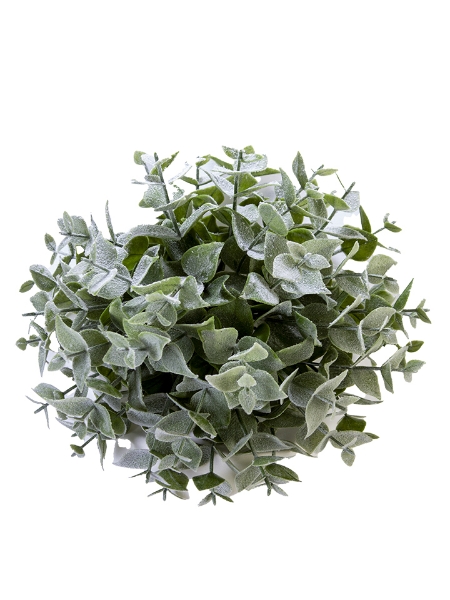 Picture of 11" SNOWY EUCALYPTUS HALF SPHERE