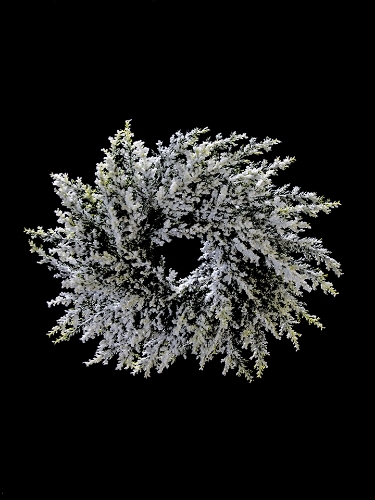 Picture of 14" FLOCKED CEDAR CANDLERING