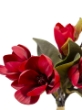Picture of 11" MAGNOLIA TREE BUNDLE