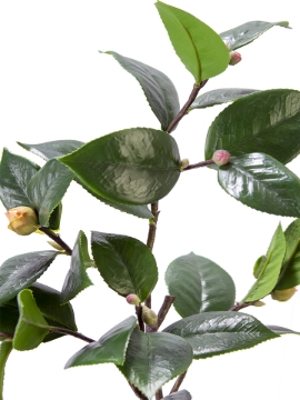 Picture of 27" CAMELLIA LEAF BRANCH