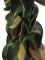 Picture of 70" LUSH MAGNOLIA LEAF GARLAND