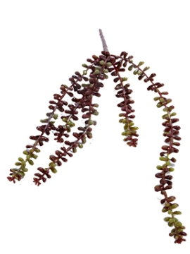 Picture of 23" SEDUM X 5 WITH STEM
