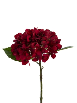 Picture of 13" HYDRANGEA STEM