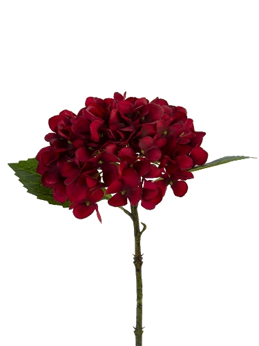 Picture of 13" HYDRANGEA STEM