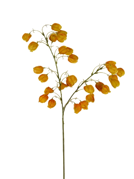 Picture of 38" CHINESE LANTERN SPRAY